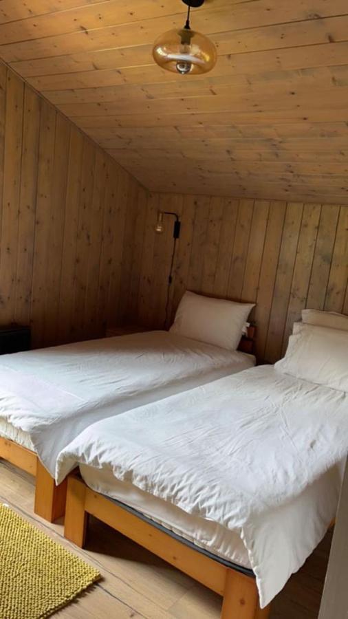 Châtel Chalet Luxueux מראה חיצוני תמונה