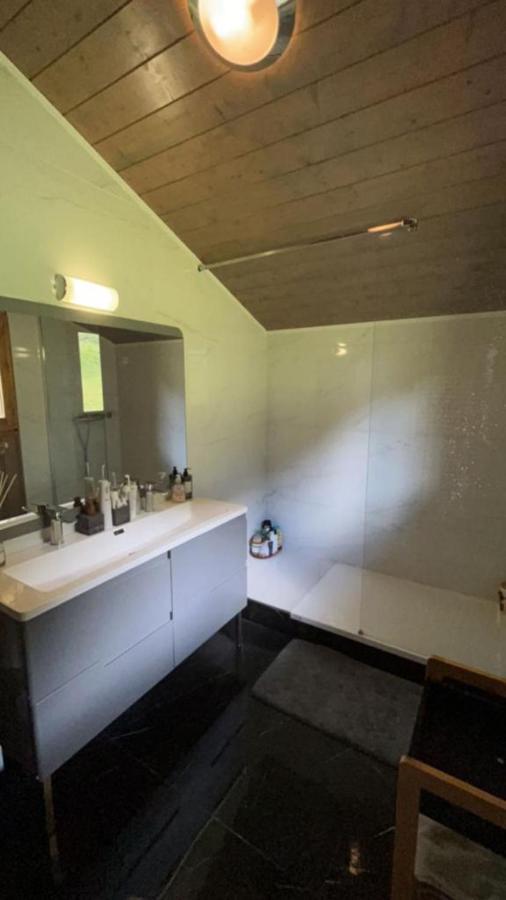 Châtel Chalet Luxueux מראה חיצוני תמונה