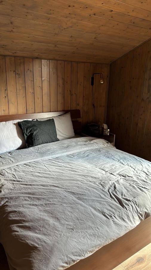Châtel Chalet Luxueux מראה חיצוני תמונה