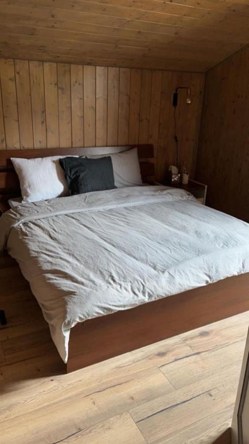 Châtel Chalet Luxueux מראה חיצוני תמונה